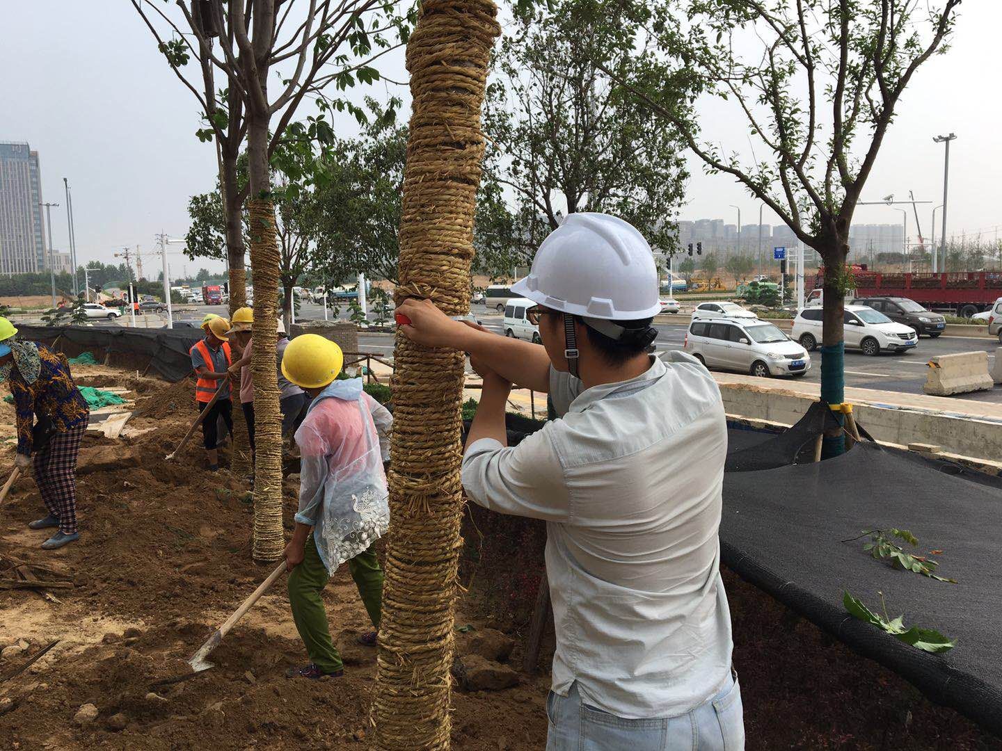 1576717090101998.jpg ac6468b0aebb4dc52fd89f73a4f7f2c.jpg