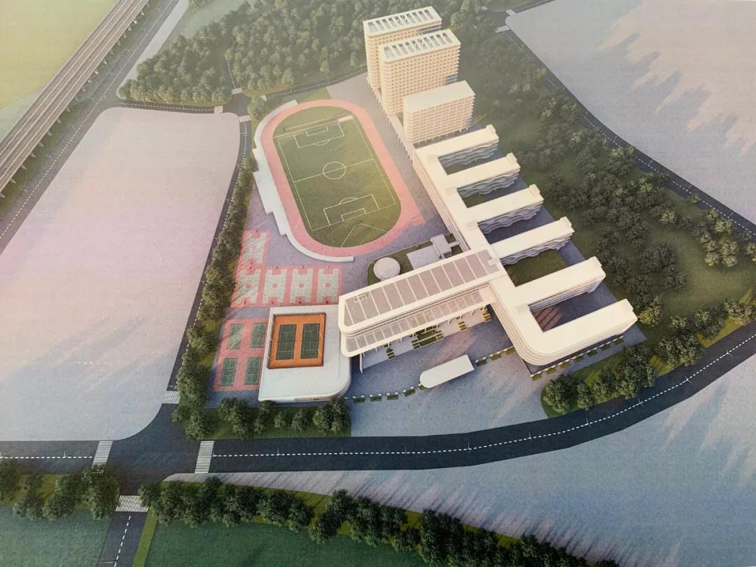 1596435870596556.jpg 10.jpg