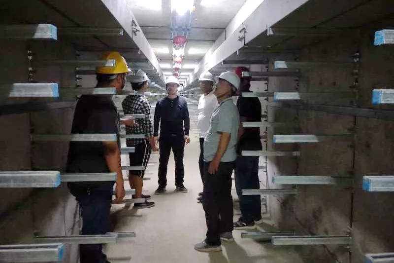 1627355680572166.jpg 640.webp.jpg