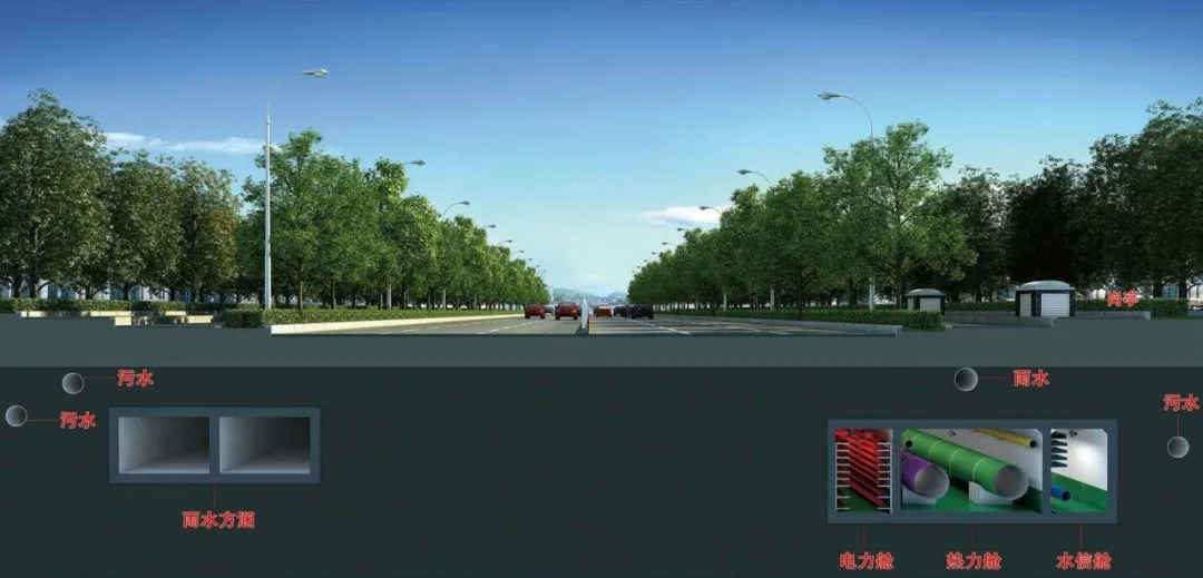 1627355973330028.jpg 640.webp (1).jpg