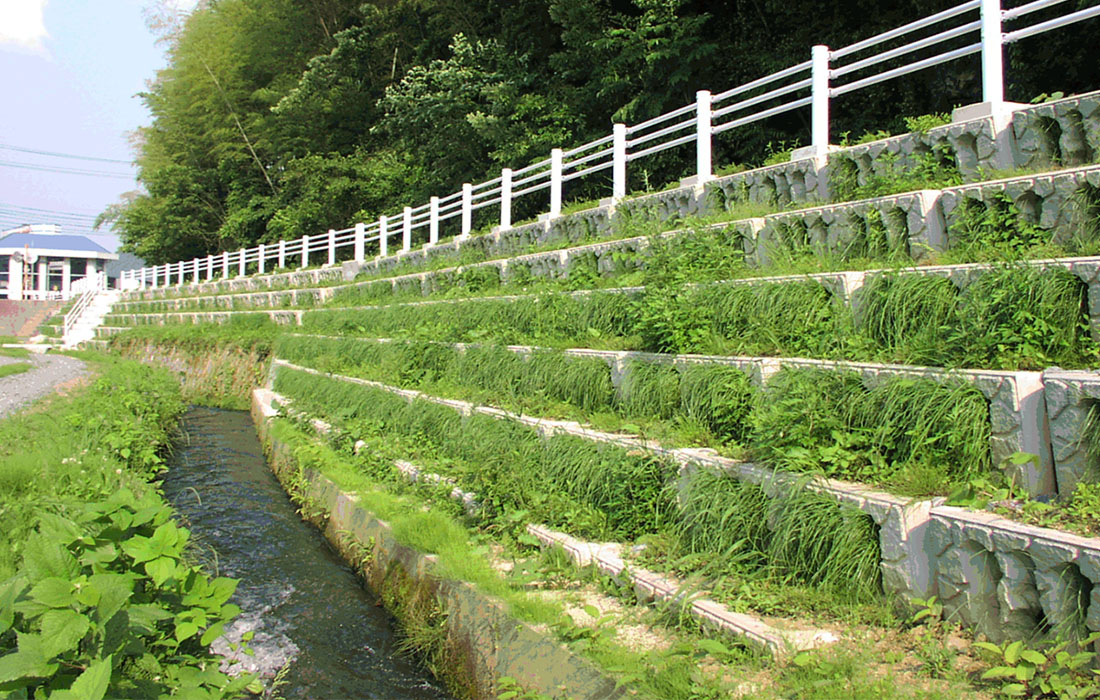 光明區(qū)全面消除黑臭水體治理工程（光明水質(zhì)凈化廠服務(wù)范圍）項目